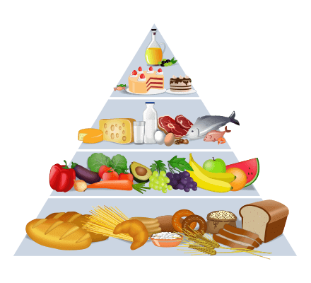 Food Pyramid