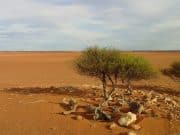 Amazing Bushcraft Skills That Will Turn You Into A Daring Survivor Outback Bushwalking
