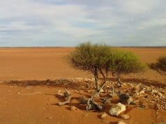 Outback Bushwalking