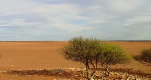 Outback Bushwalking