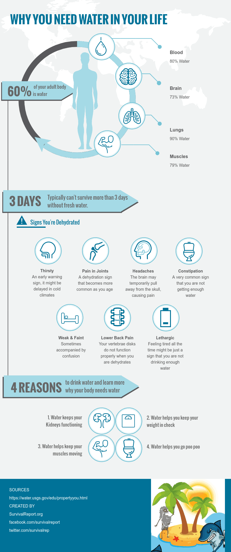 Water In The Human Body Infographic