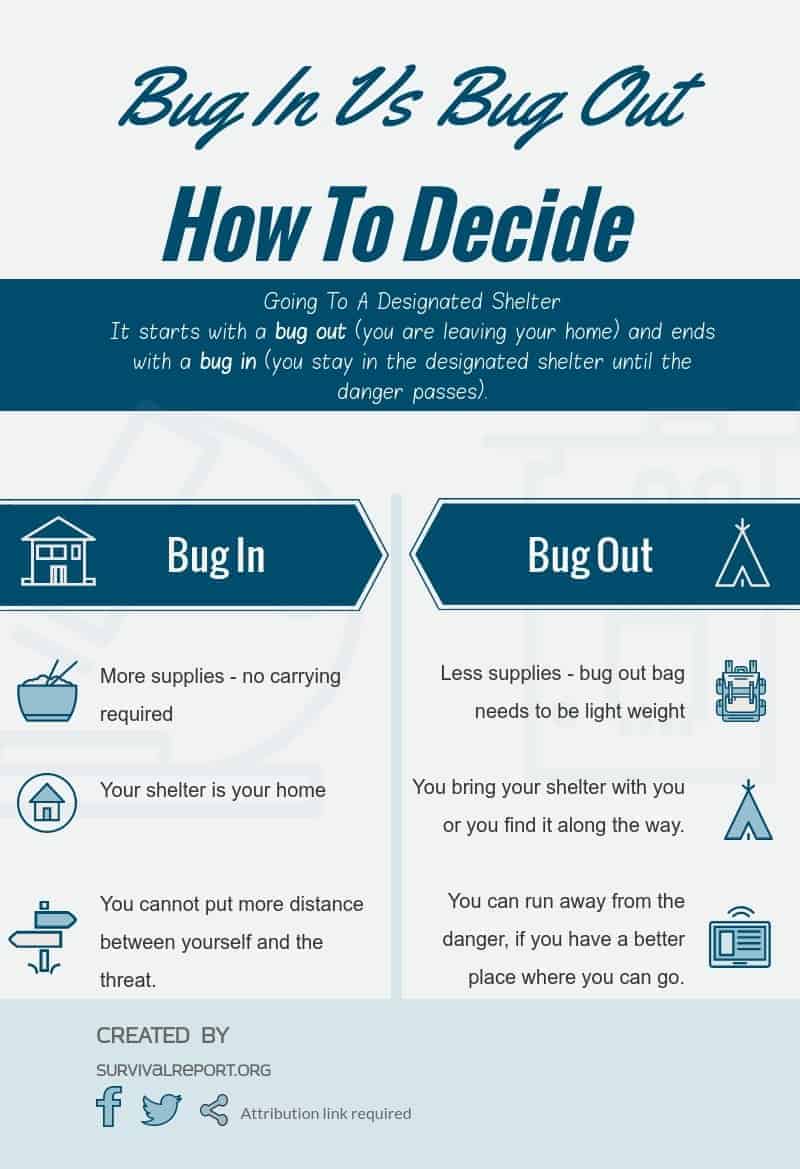 Bug In VS Bug Out Infographic