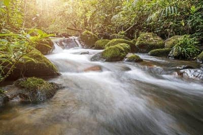 Find Water In The Wild