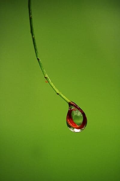 Water Collection