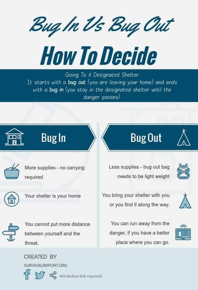 Bug In VS Bug Out Infographic