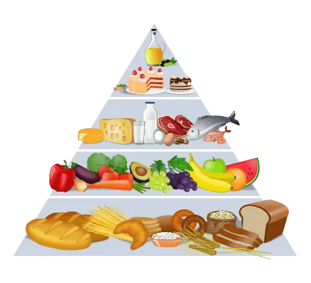 Food Pyramid