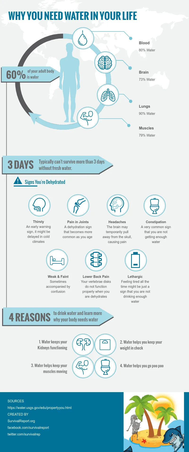 Water In The Human Body Infographic