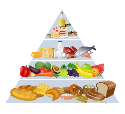 Food Pyramid