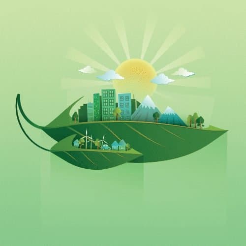 Environmental Resilience